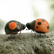 Minuscule - Les mandibules du bout du monde - galeria zdjęć - filmweb
