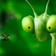 Minuscule - Les mandibules du bout du monde - galeria zdjęć - filmweb