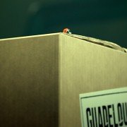 Minuscule - Les mandibules du bout du monde - galeria zdjęć - filmweb