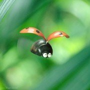 Minuscule - Les mandibules du bout du monde - galeria zdjęć - filmweb