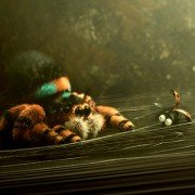Minuscule - Les mandibules du bout du monde - galeria zdjęć - filmweb