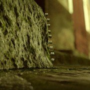 Minuscule - Les mandibules du bout du monde - galeria zdjęć - filmweb
