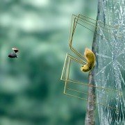 Minuscule - Les mandibules du bout du monde - galeria zdjęć - filmweb