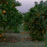 As Esta&ccedil;&otilde;es - galeria zdjęć - filmweb