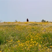 As Esta&ccedil;&otilde;es - galeria zdjęć - filmweb
