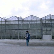 Hilma - galeria zdjęć - filmweb