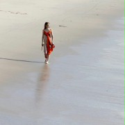 Sara Tancredi