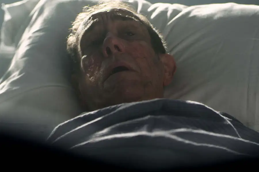 Wielkodupy pająk - galeria zdjęć - filmweb