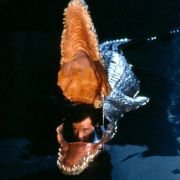 Octopussy - galeria zdjęć - filmweb