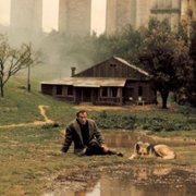 Nostalgia - galeria zdjęć - filmweb