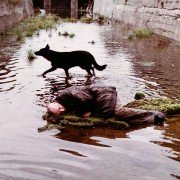Stalker - galeria zdjęć - filmweb