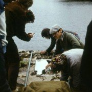 Stalker - galeria zdjęć - filmweb
