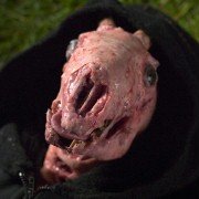 Devour - galeria zdjęć - filmweb