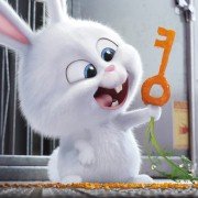 Sekretne życie zwierzaków domowych - galeria zdjęć - filmweb
