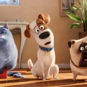 The Secret Life of Pets - galeria zdjęć - filmweb