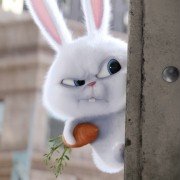 The Secret Life of Pets - galeria zdjęć - filmweb