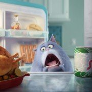 The Secret Life of Pets - galeria zdjęć - filmweb