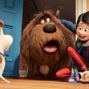 The Secret Life of Pets - galeria zdjęć - filmweb