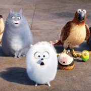 The Secret Life of Pets - galeria zdjęć - filmweb