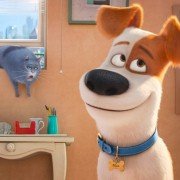 The Secret Life of Pets - galeria zdjęć - filmweb