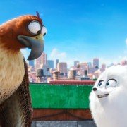 The Secret Life of Pets - galeria zdjęć - filmweb