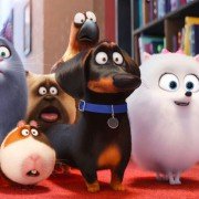 The Secret Life of Pets - galeria zdjęć - filmweb
