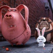 The Secret Life of Pets - galeria zdjęć - filmweb