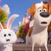 The Secret Life of Pets - galeria zdjęć - filmweb