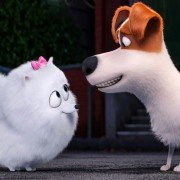 The Secret Life of Pets - galeria zdjęć - filmweb