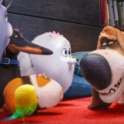 The Secret Life of Pets - galeria zdjęć - filmweb