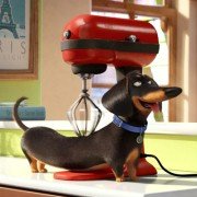 The Secret Life of Pets - galeria zdjęć - filmweb