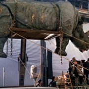E la nave va - galeria zdjęć - filmweb