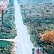 The Straight Story - galeria zdjęć - filmweb