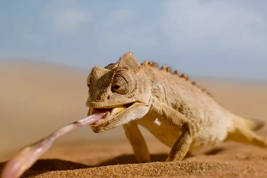 Mały świat - galeria zdjęć - filmweb