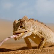 Tiny World - galeria zdjęć - filmweb