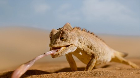 Sezon 2 Odcinek 6 Wydma