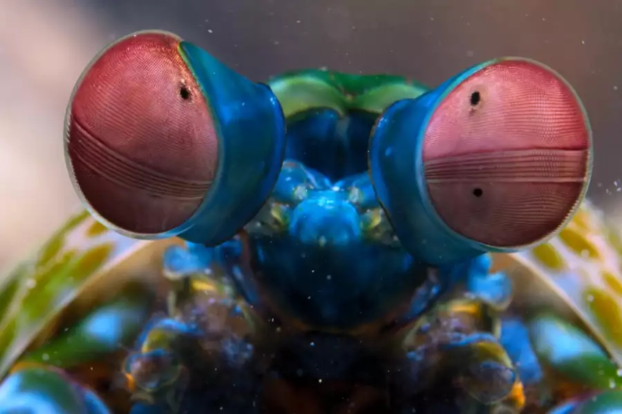 Mały świat - galeria zdjęć - filmweb