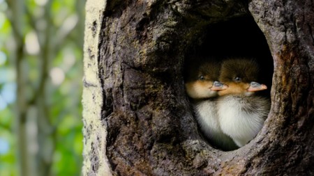 Sezon 2 Odcinek 3 Staw