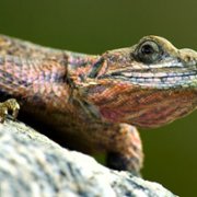 Tiny World - galeria zdjęć - filmweb