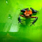 Tiny World - galeria zdjęć - filmweb