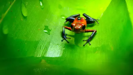 Mały świat - galeria zdjęć - filmweb