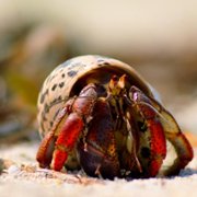 Tiny World - galeria zdjęć - filmweb