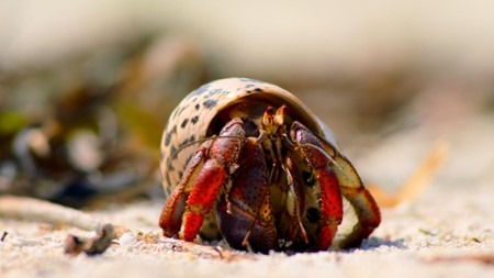 Sezon 1 Odcinek 3 Wyspa