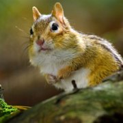Tiny World - galeria zdjęć - filmweb