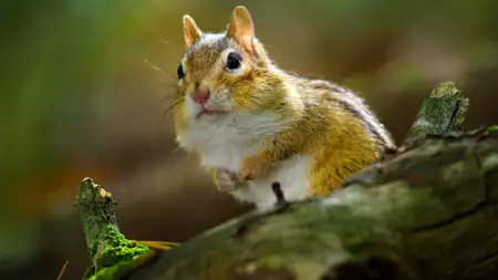 Mały świat - galeria zdjęć - filmweb