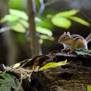 Tiny World - galeria zdjęć - filmweb