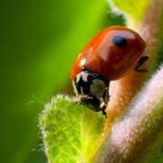 Tiny World - galeria zdjęć - filmweb