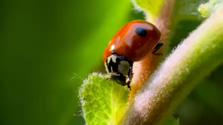 Mały świat - galeria zdjęć - filmweb