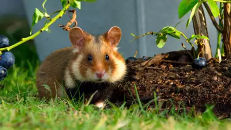 Mały świat - galeria zdjęć - filmweb