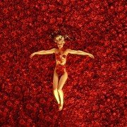 American Beauty - galeria zdjęć - filmweb